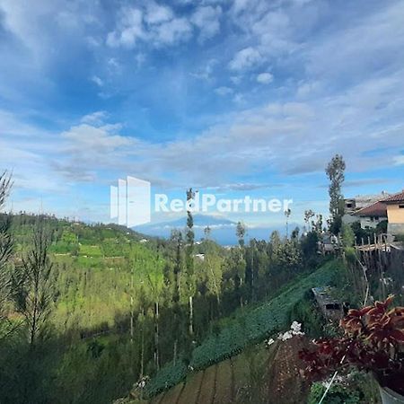 Bromo Indah Lestari Homestay Mitra Reddoorz Пасуруан Екстериор снимка